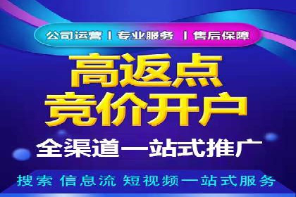 SEM推广策略：实战案例解析